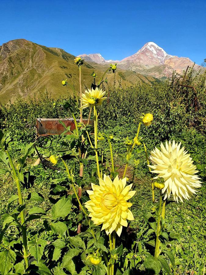 Nikolo Inn Kazbegi Exterior foto
